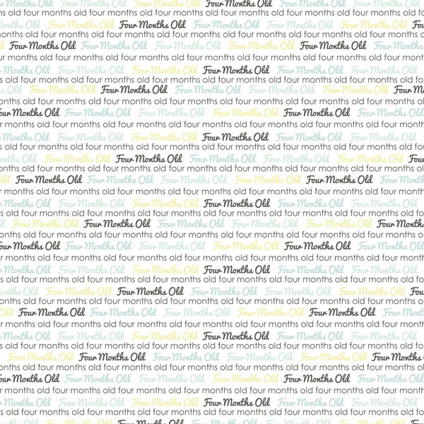 BABY’S FIRST YEAR DS Journal 12X12 Boy Paper Kit