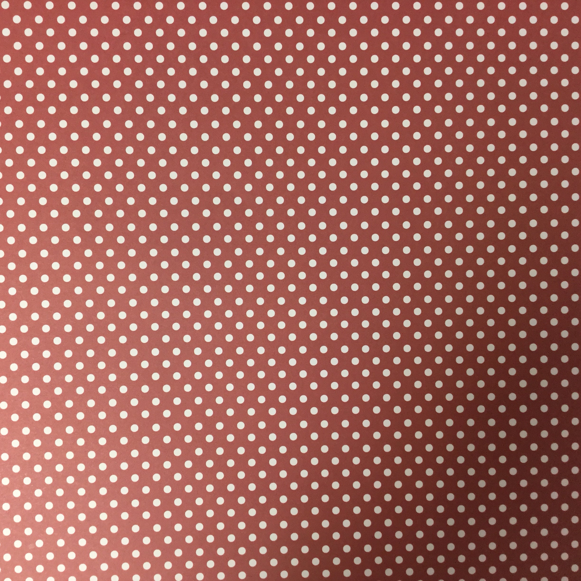 Three Bugs In A Rug Spread Your Wings PAISLEY 12"X12" Paper Scrapbooksrus