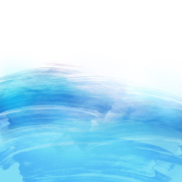 DOLPHIN ENCOUNTER Double Sided 12X12 Paper Scrapbook Customs Scrapbooksrus