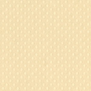 12X12 Bazzill DOT Cardstock