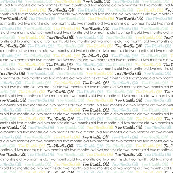 BABY’S FIRST YEAR DS Journal 12X12 Boy Paper Kit Scrapbooksrus