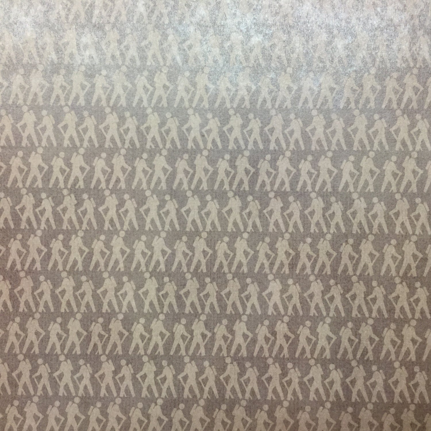 HIKING ADDICT 1 12X12 Scrapbook Paper Scrapbook Customs Scrapbooksrus