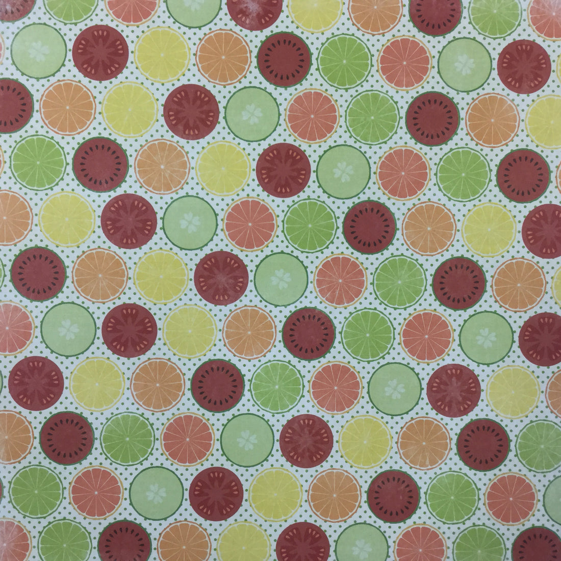 Moxxie Picnic DISAPPEARING DISHES 12”x12” Scrapbook Sheet Scrapbooksrus