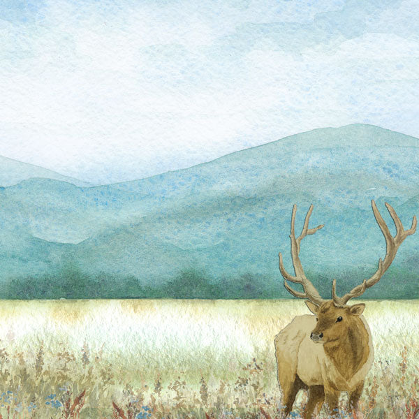 Scrapbook Customs ELK DS Watercolor 12"X12" Paper Scrapbooksrus