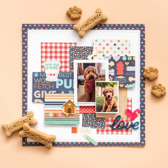 DCWV Playful Pets CAT TAGS 12”x12” Scrapbook Paper Scrapbooksrus