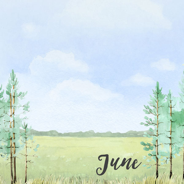 Scrapbook Customs JUNE MEMORIES Paper Pack 3pc Scrapbooksrus