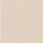 Bazzill Basics Bling BLANK CHECK 8.5x11” Scrapbook Paper Pack Scrapbooksrus