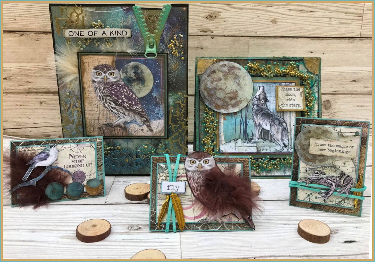 Stamperia COSMOS 12"X12" Paper Pad Scrapbooksrus