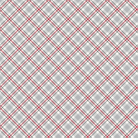 Simple Stories Plaid Dad 3x4 & 4x6 ELEMENTS 12x12 Scrapbook Paper Scrapbooksrus