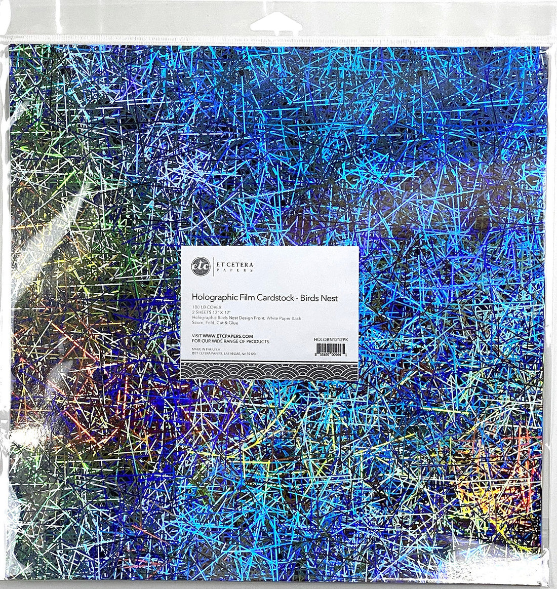 Etcetera BIRDS NEST 12"X12" Holographic Film Cardstock Paper Scrapbooksrus