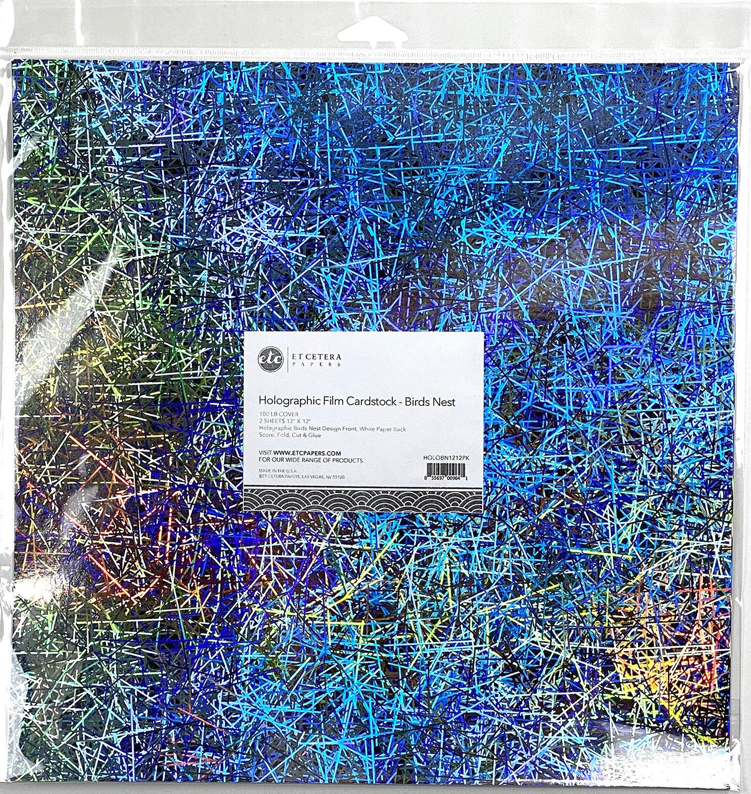 Etcetera BIRDS NEST 12"X12" Holographic Film Cardstock Paper Scrapbooksrus