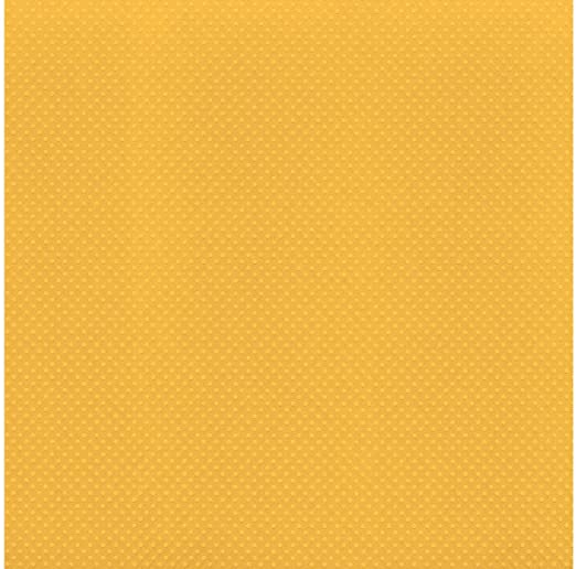 12X12 Bazzill DOT Cardstock