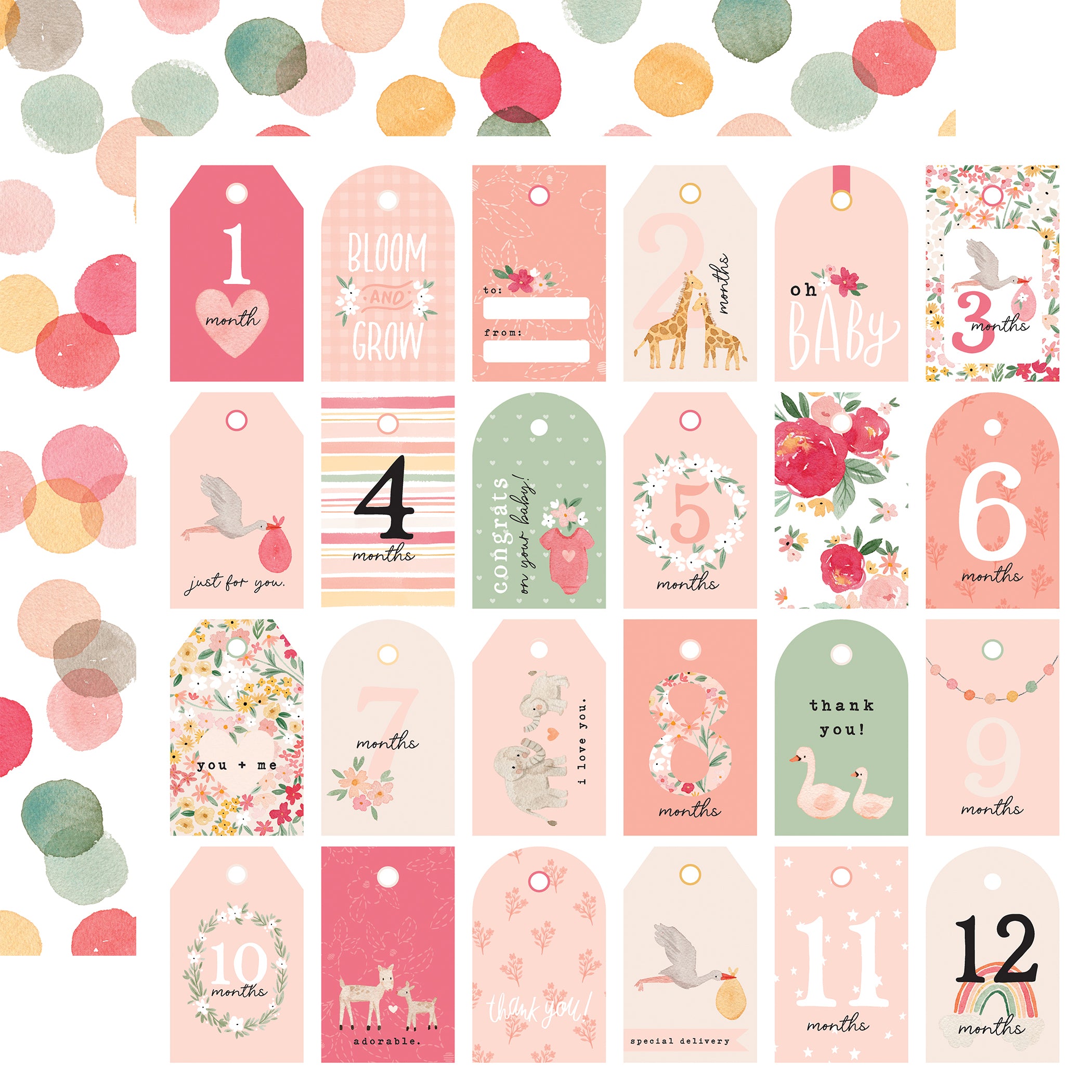 Echo Park WELCOME BABY GIRL 12"X12" Collection Kit Scrapbooksrus