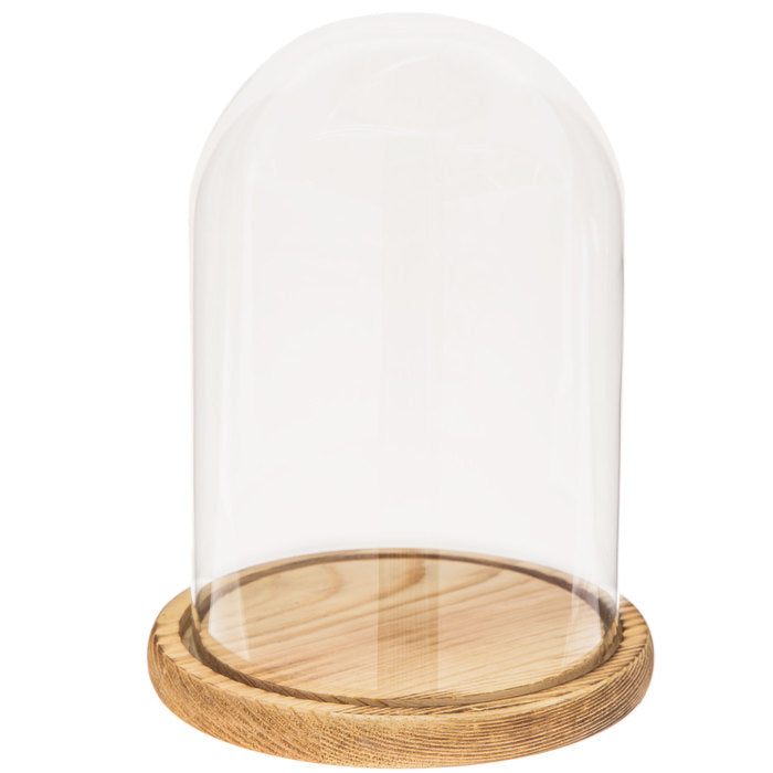 Craft Decor Plastic DECORATIVE DOME 1pc Scrapbooksrus