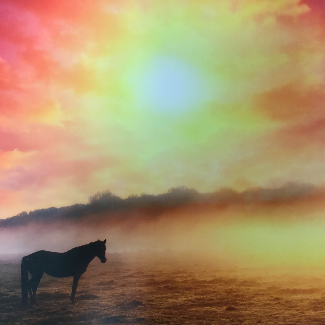 Reminisce HORSE PLAY Paper Pack 2pc Scrapbooksrus