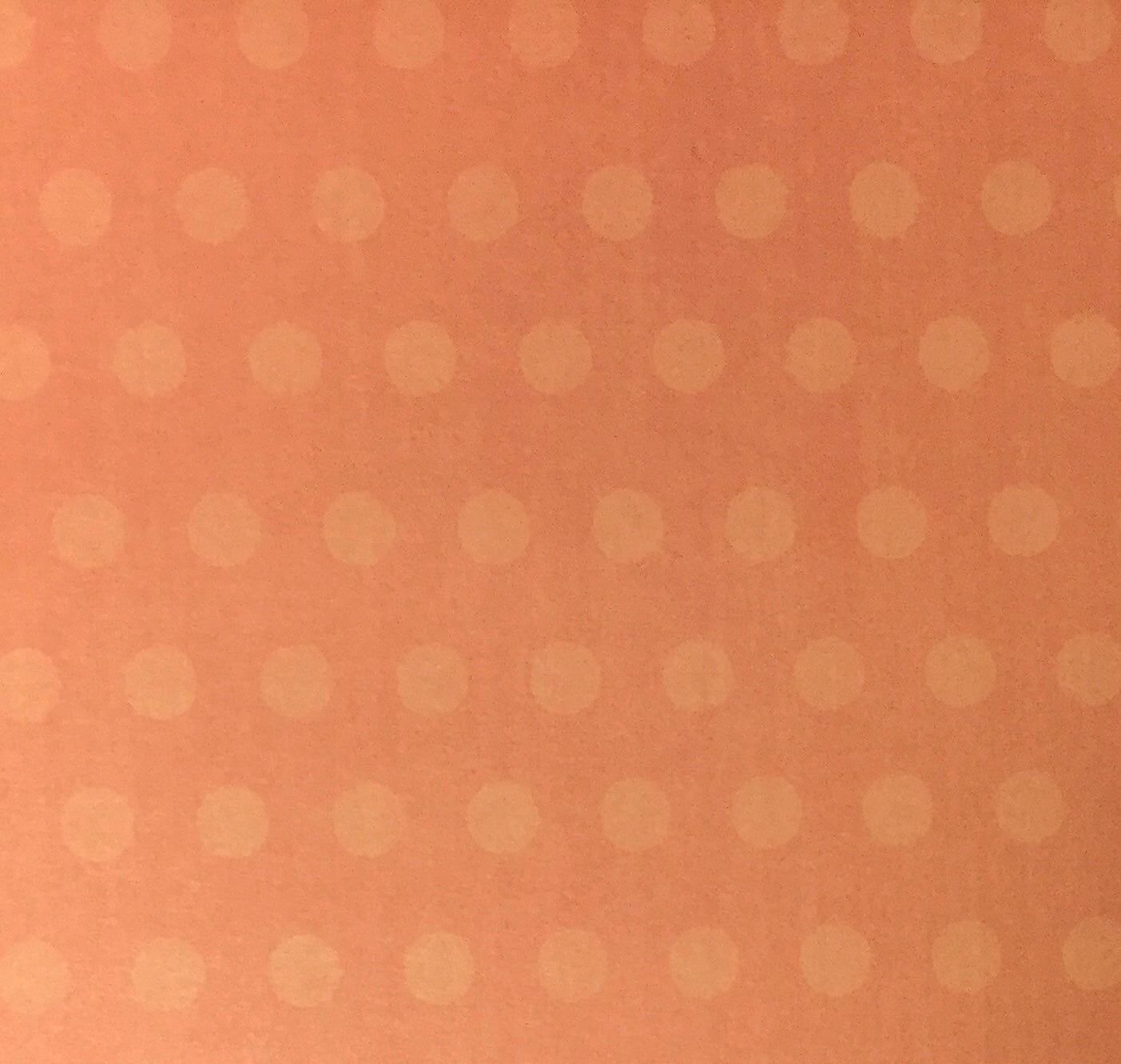 Three Bugs In A Rug The Great Outdoors HOOKED UP 12x12 Scrapbook Paper Scrapbooksrus