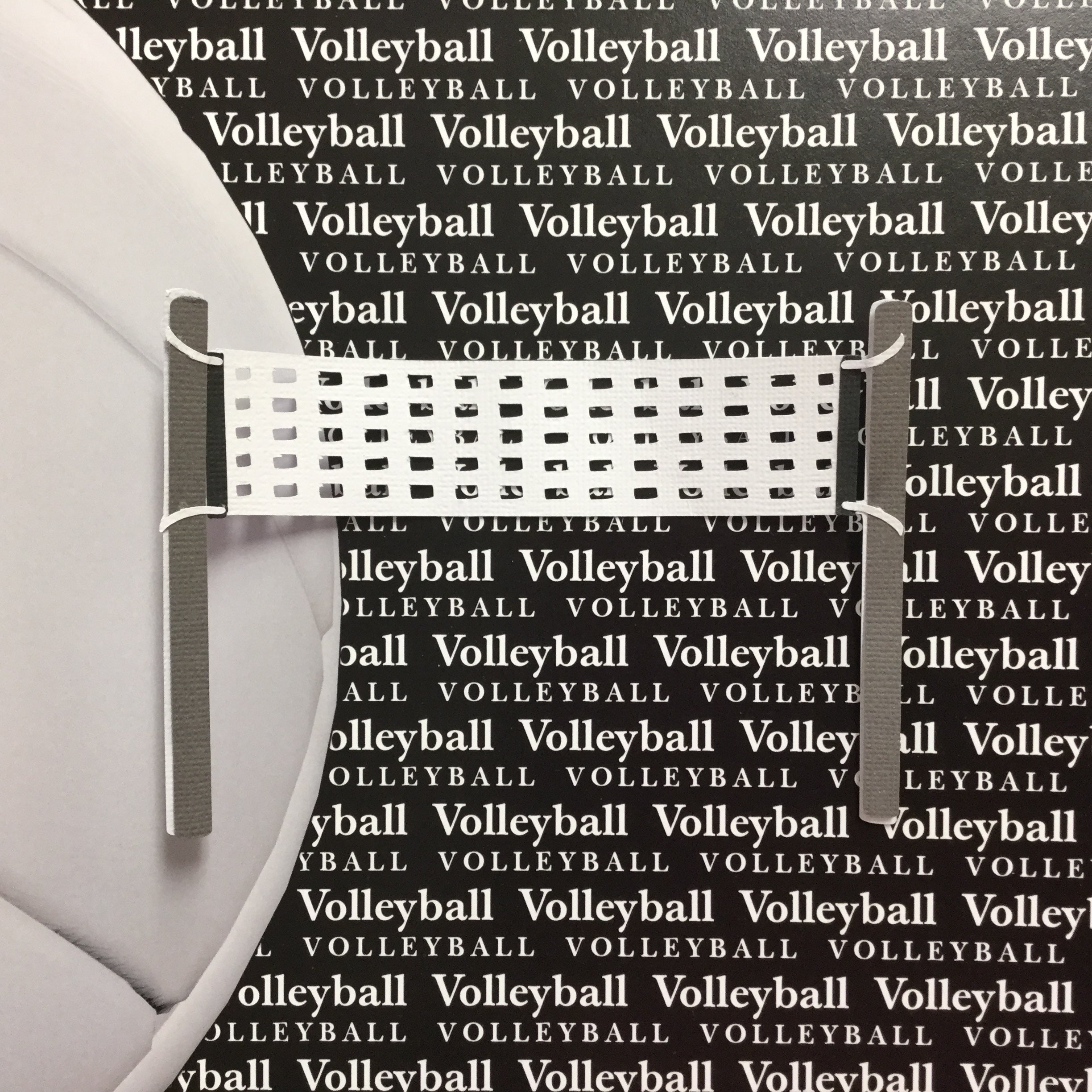 VOLLEYBALL COURT Sports Scrapbook Die Cuts Scrapbooksrus