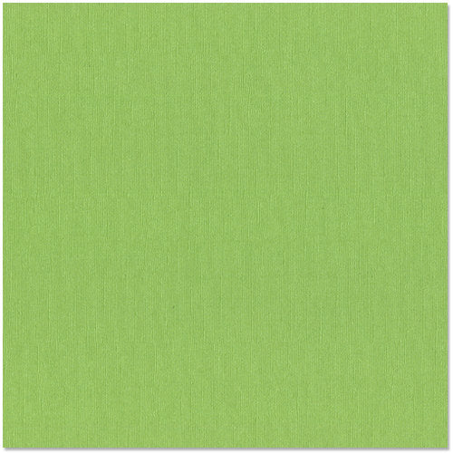 12X12 Bazzill Bling Cardstock