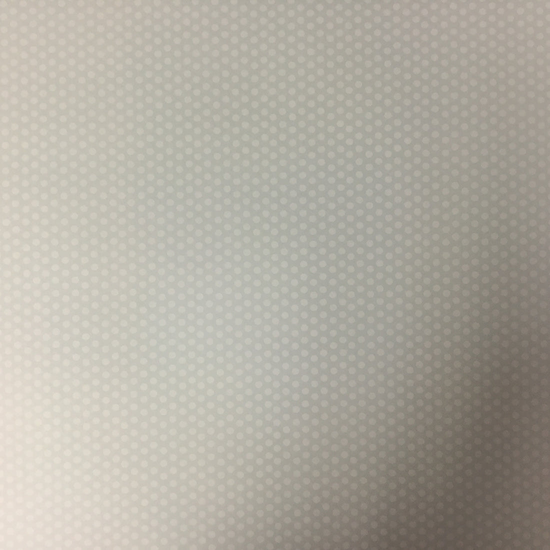 Three Bugs In A Rug CHLOE RESCUE 12"X12" Paper Scrapbooksrus