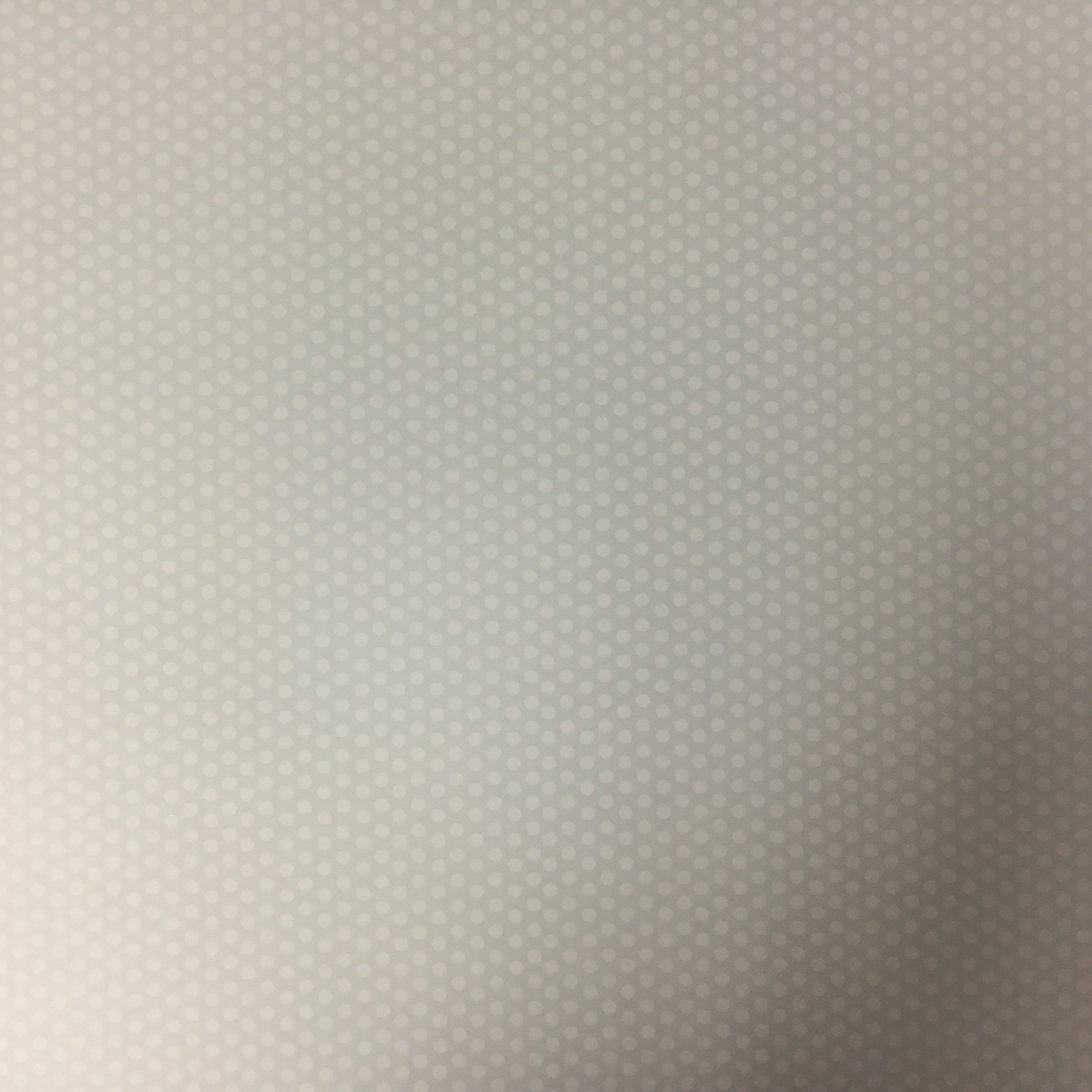 Three Bugs In A Rug CHLOE RESCUE 12"X12" Paper Scrapbooksrus