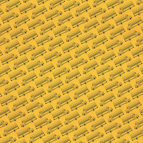 Simple Stories School Rocks! 4x6 HORIZONTAL ELEMENTS 12x12 Scrapbook Paper Scrapbooksrus