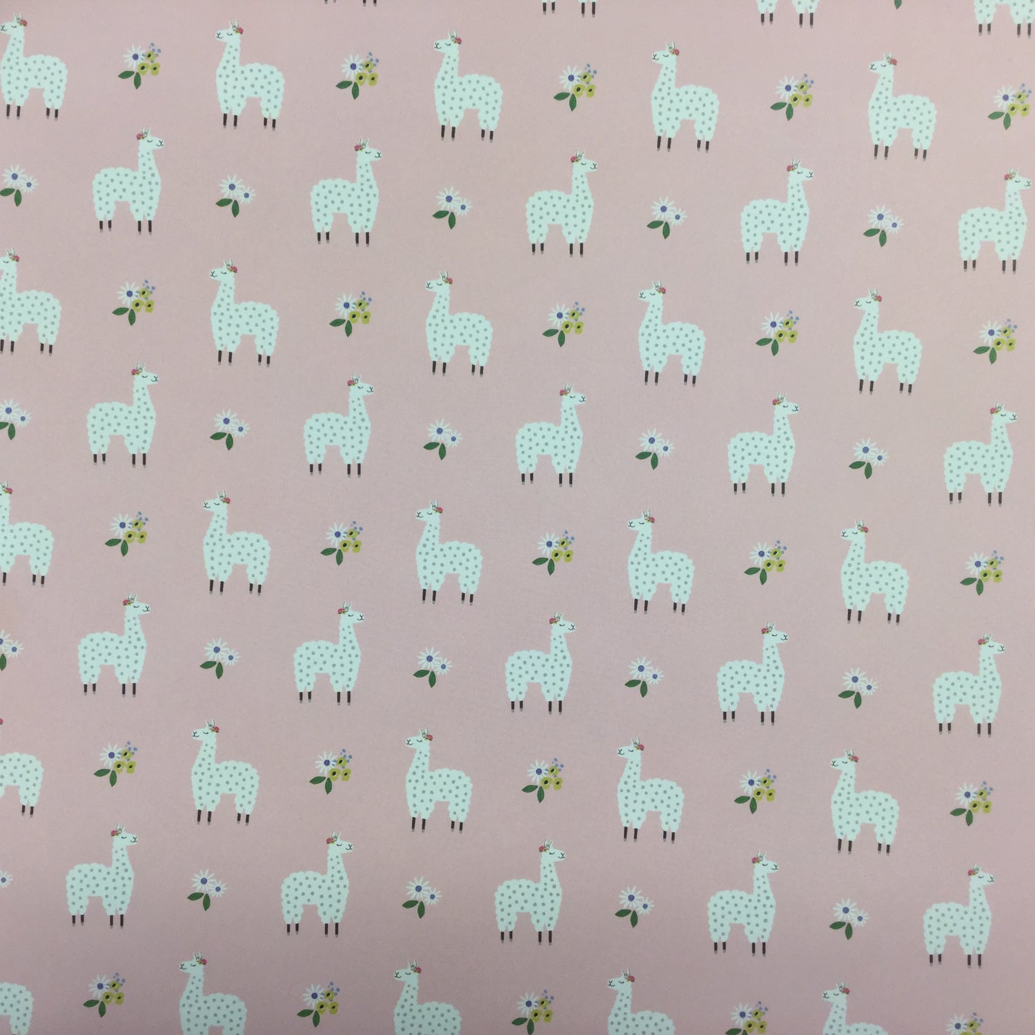 Jen Hadfield My Bright Life LOVELY LLAMAS 12"X12" Scrapbook Paper Scrapbooksrus