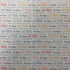 LAS VEGAS  Double Sided Pride 12X12 Scrapbook Paper Scrapbooksrus