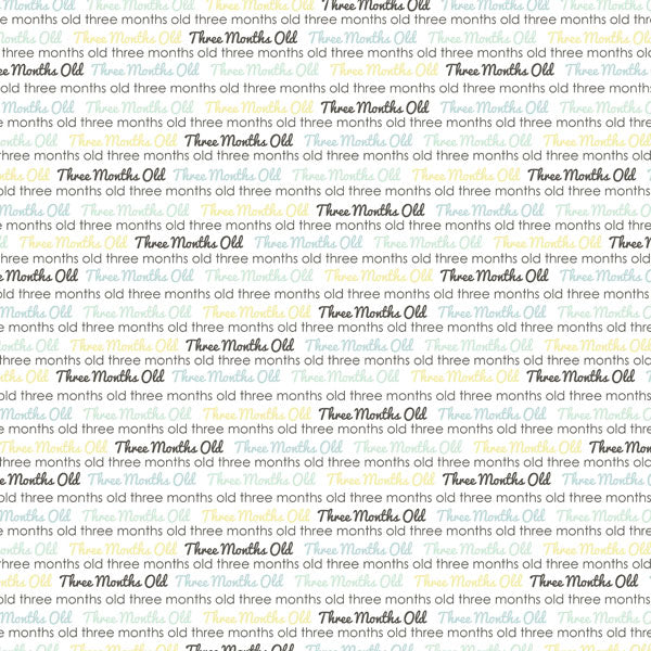 BABY’S FIRST YEAR DS Journal 12X12 Boy Paper Kit