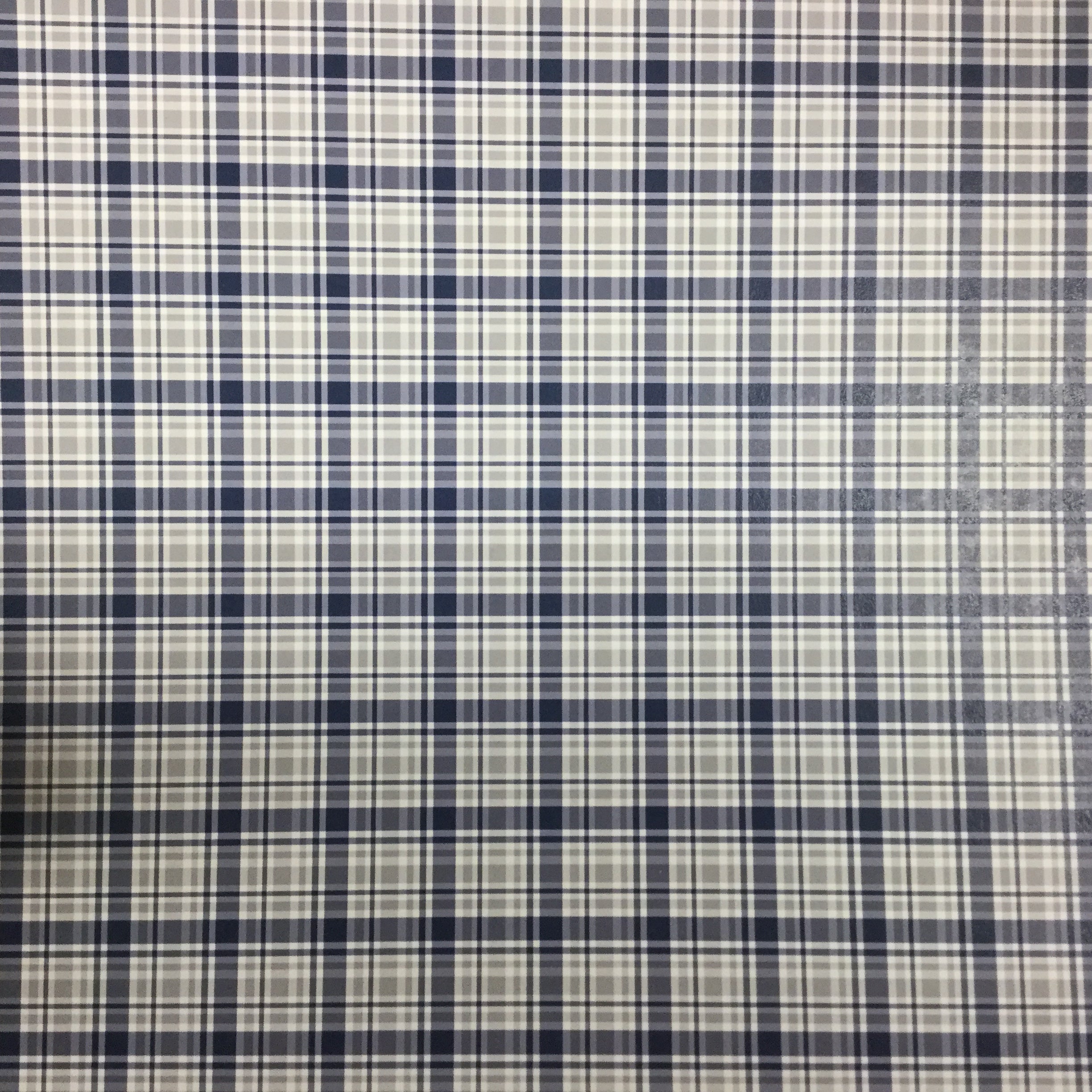 VEGAS Pride DS 12x12 Scrapbook Paper Scrapbooksrus