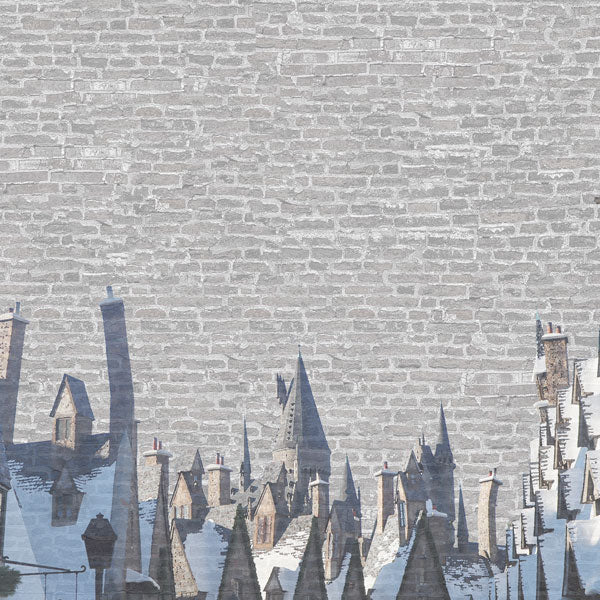 WIZARDING WORLD VILLAGE DS 12X12 Scrapbook Customs Sheet Scrapbooksrus