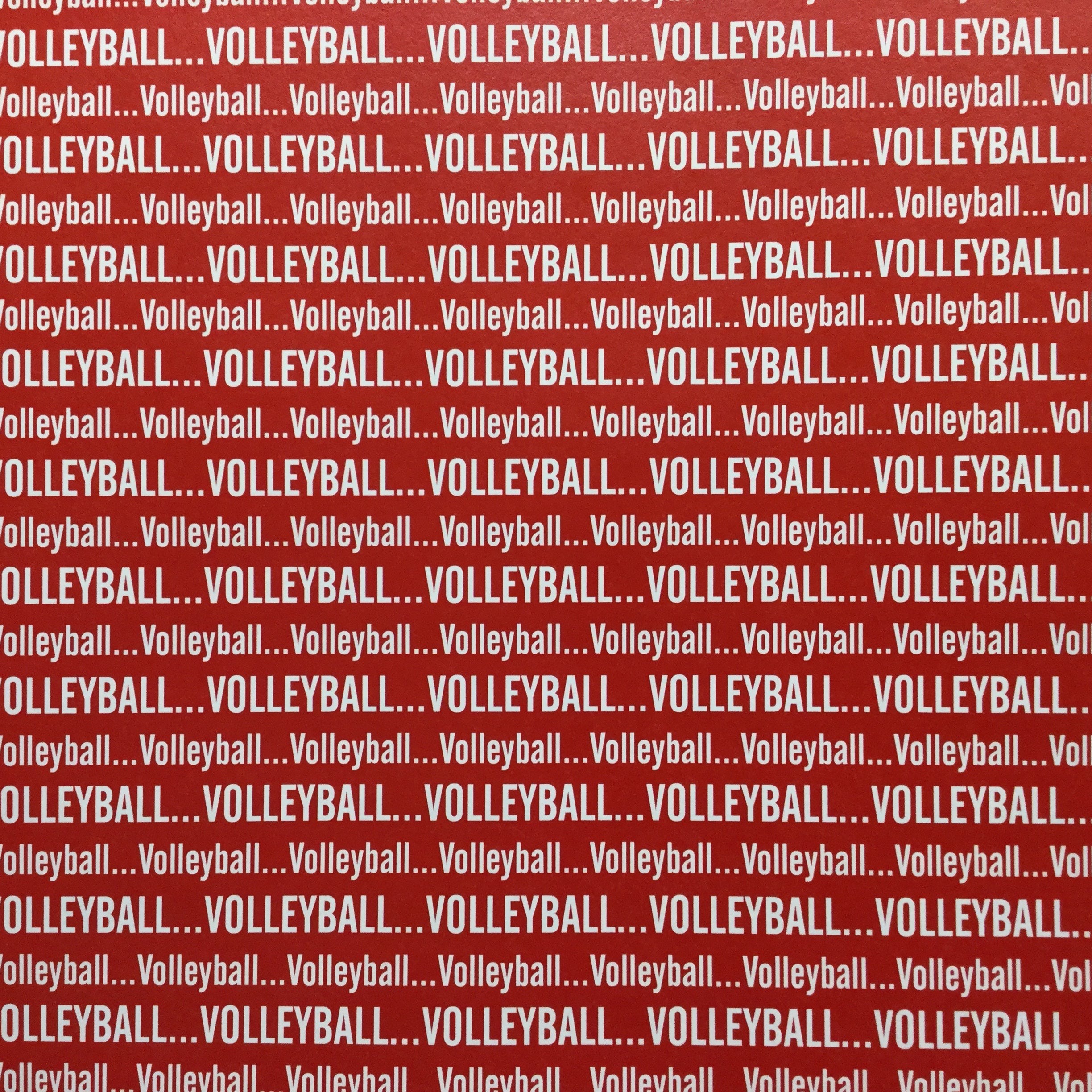 Volleyball SPORTS PRIDE Sports 12X12 Paper Sheet Scrapbook Customs Red Scrapbooksrus