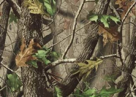 Papers Best APG01 Camouflage 1 Sheet 12"x12" Scrapbooksrus