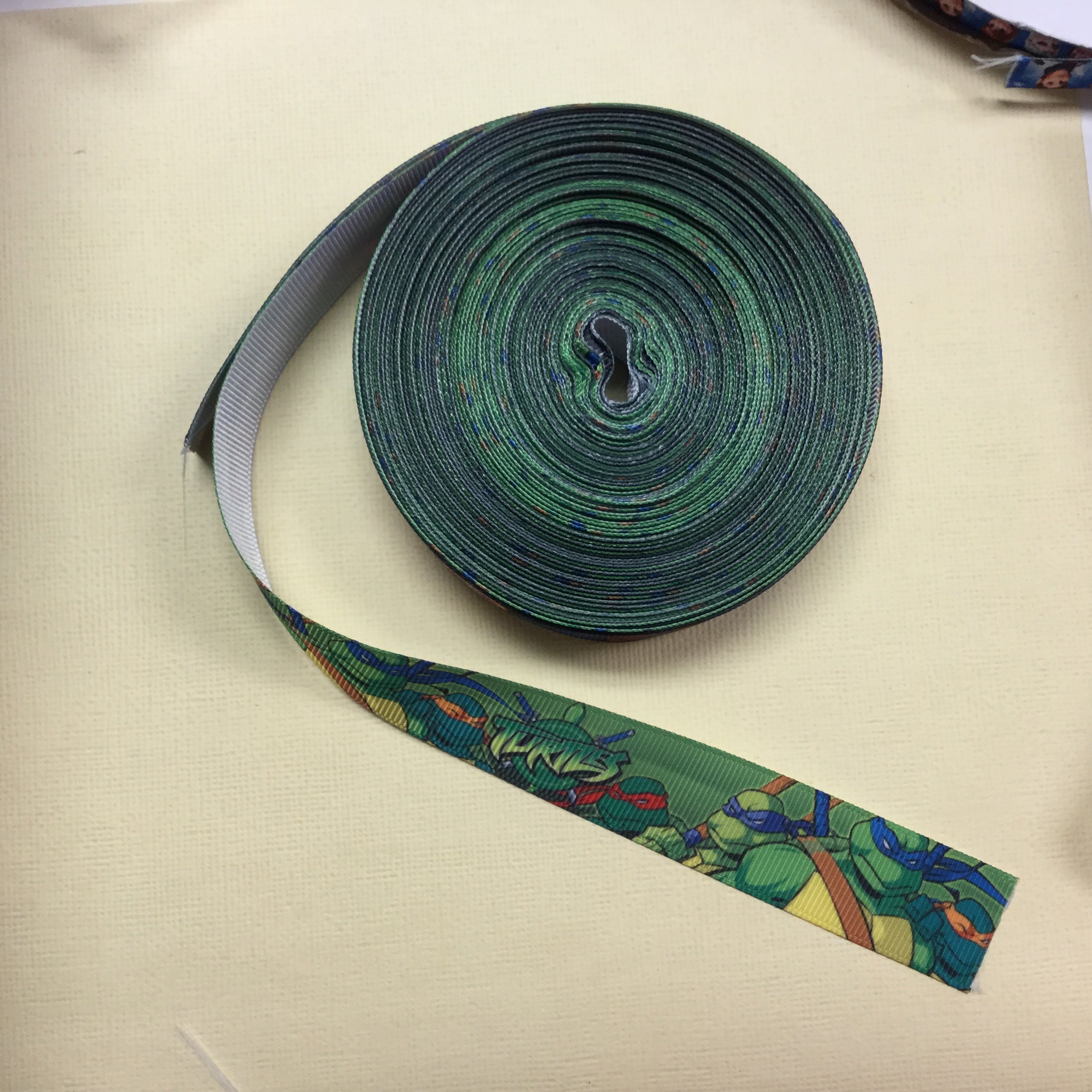 TMNT Characters Ribbon 7/8” Scrapbooksrus