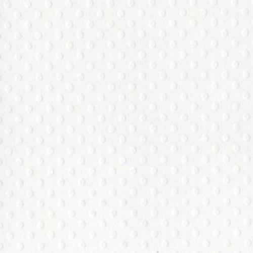 12X12 Bazzill DOT Cardstock