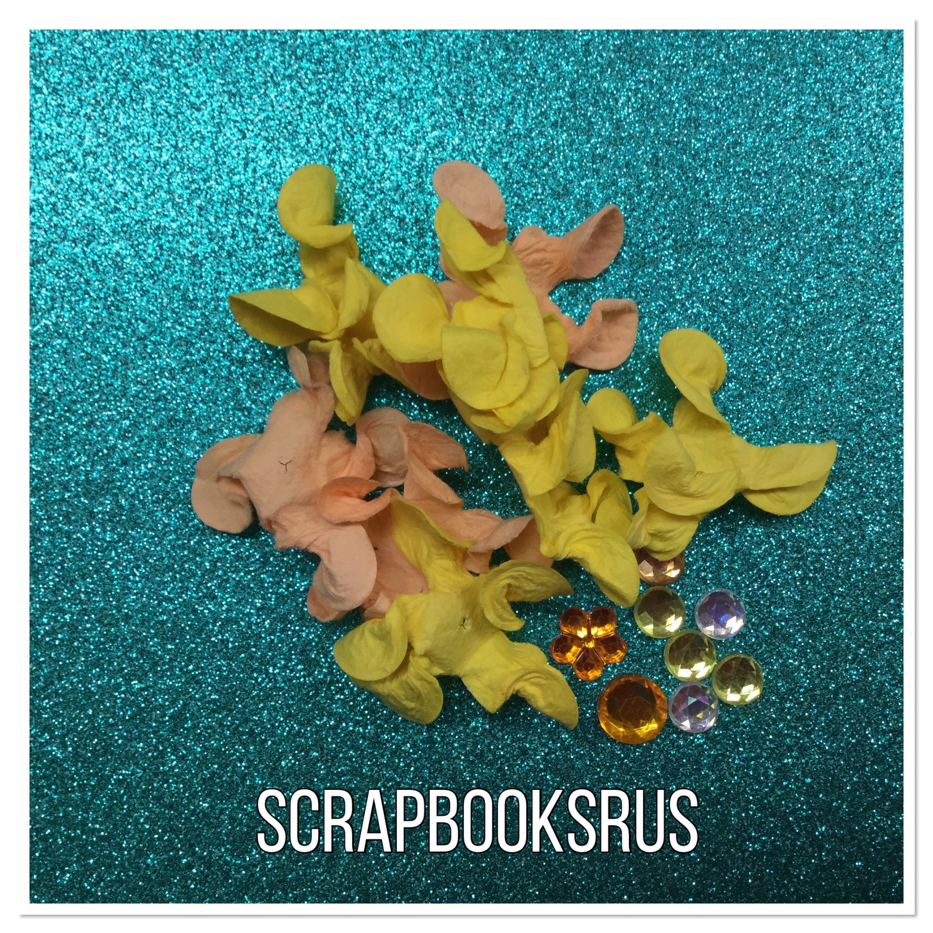 Flowere Brads and Bling 16pc Scrapbooksrus