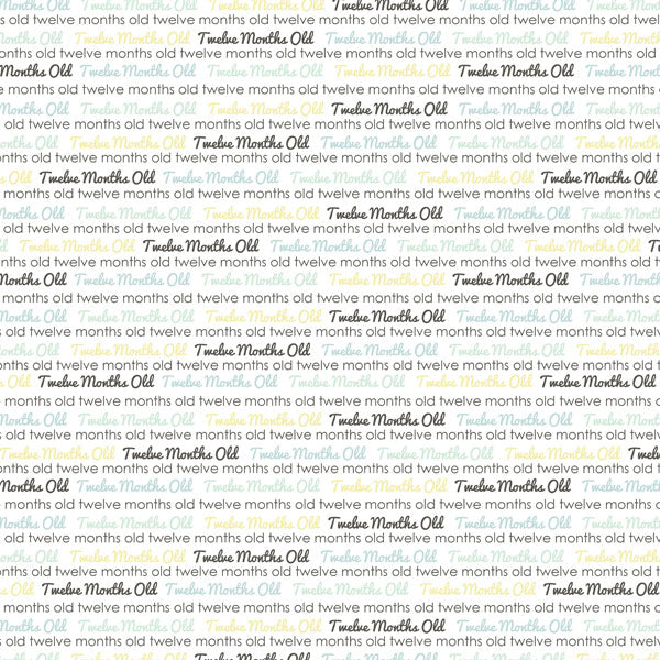 BABY’S FIRST YEAR DS Journal 12X12 Boy Paper Kit Scrapbooksrus