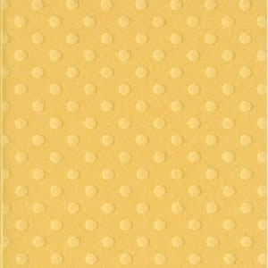 12X12 Bazzill DOT Cardstock