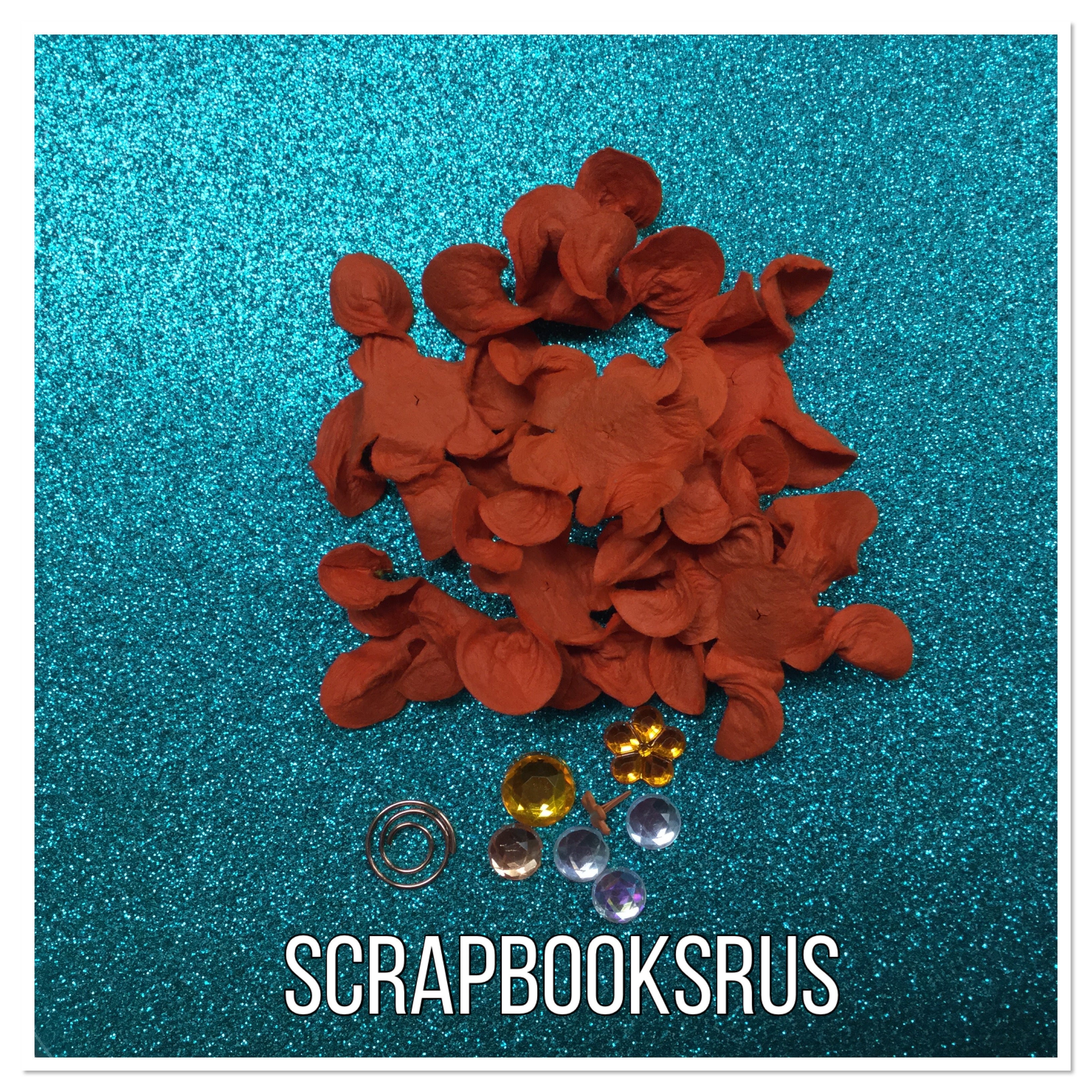 Flowere Brads and Bling 16pc Scrapbooksrus