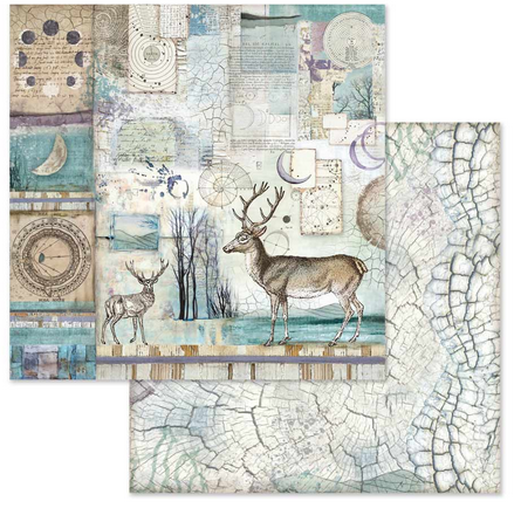 Stamperia COSMOS 12"X12" Paper Pad Scrapbooksrus
