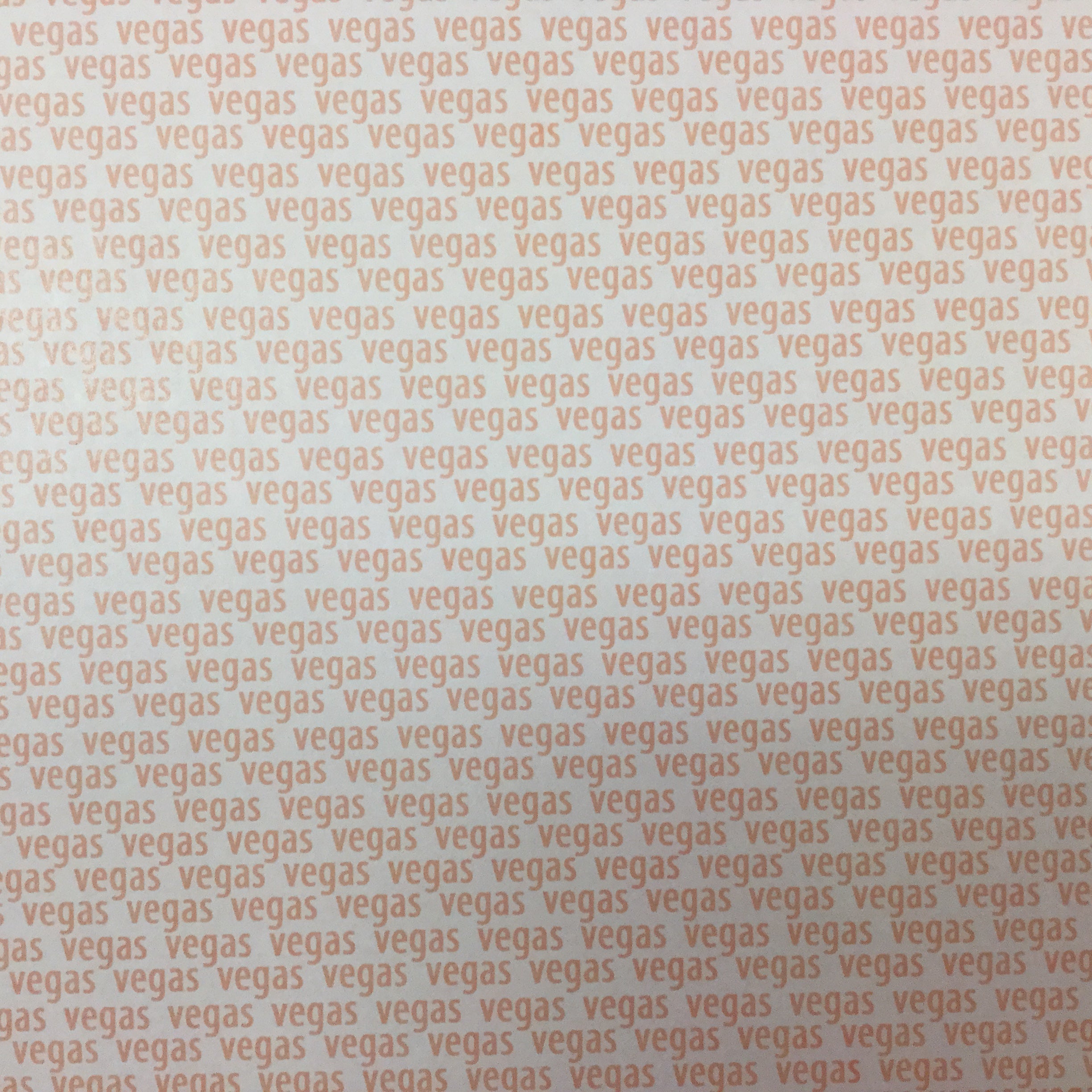 VEGAS LIFE PRIDE/PLAID Double Sided  12x12 Scrapbook Paper Scrapbooksrus