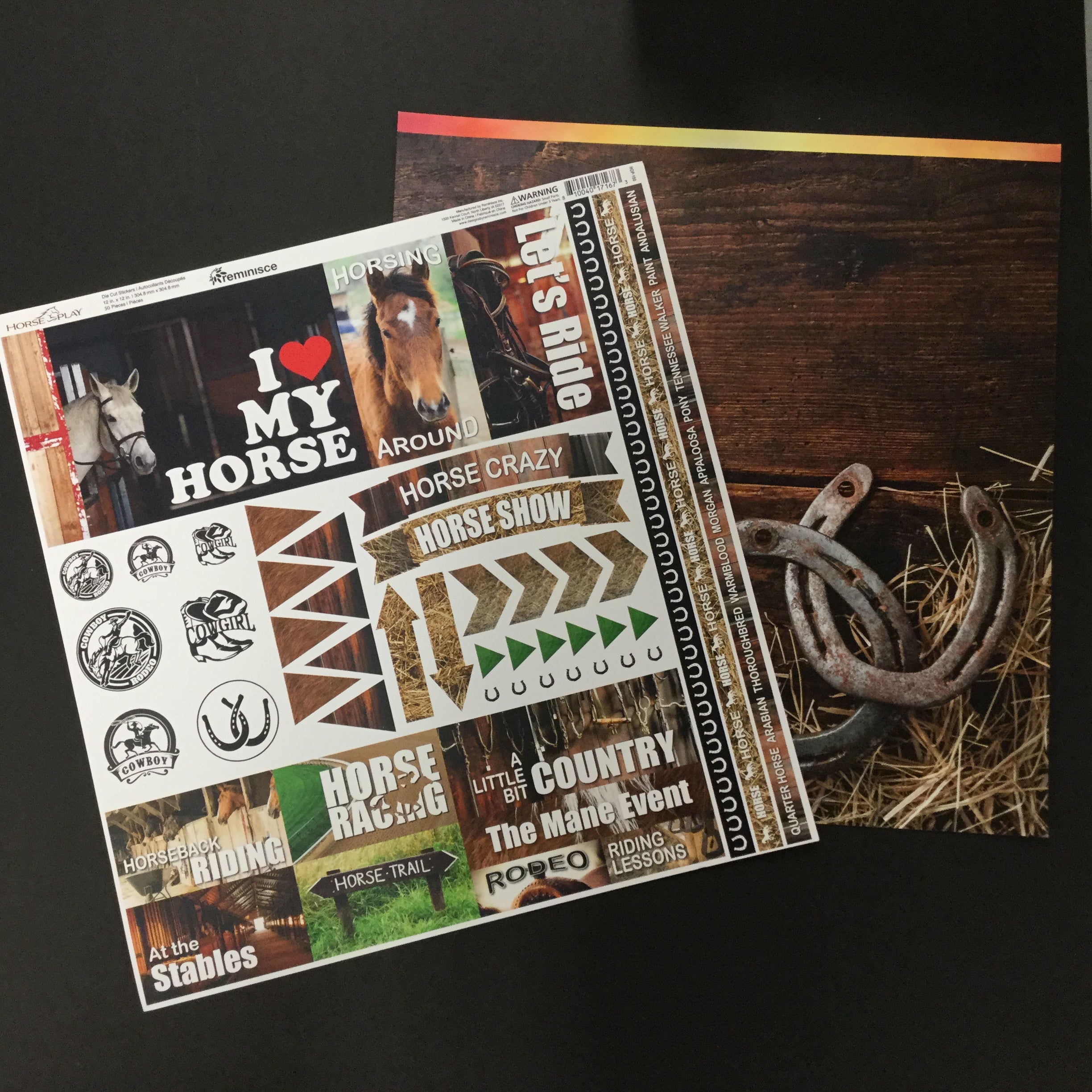 Reminisce HORSE PLAY Paper Pack 2pc Scrapbooksrus