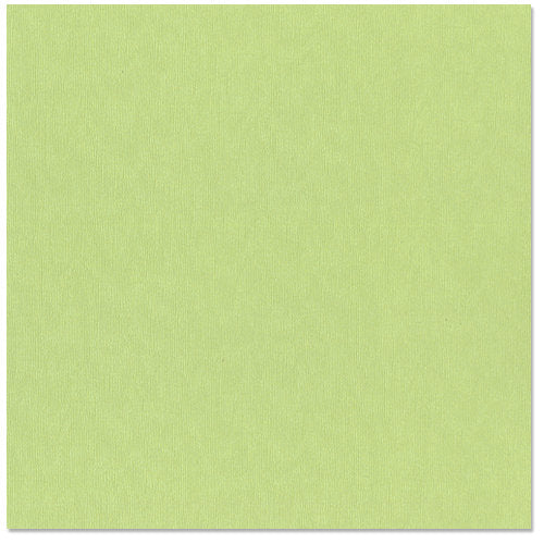 12X12 Bazzill Bling Cardstock