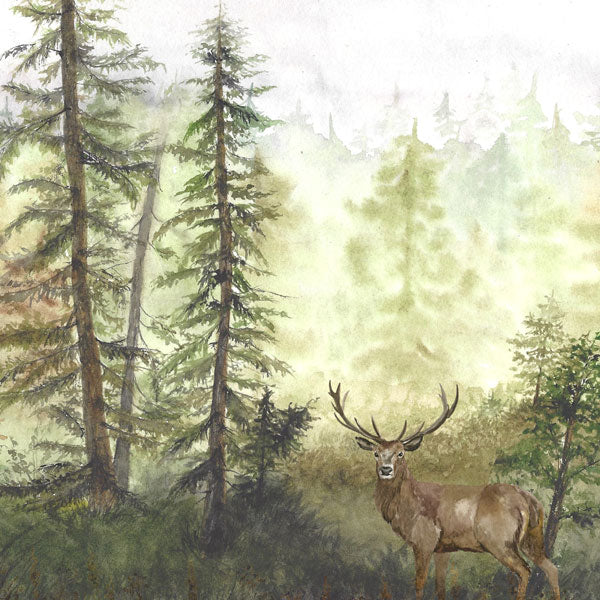 Scrapbook Customs DEER DS Watercolor 12"X12" Paper Scrapbooksrus