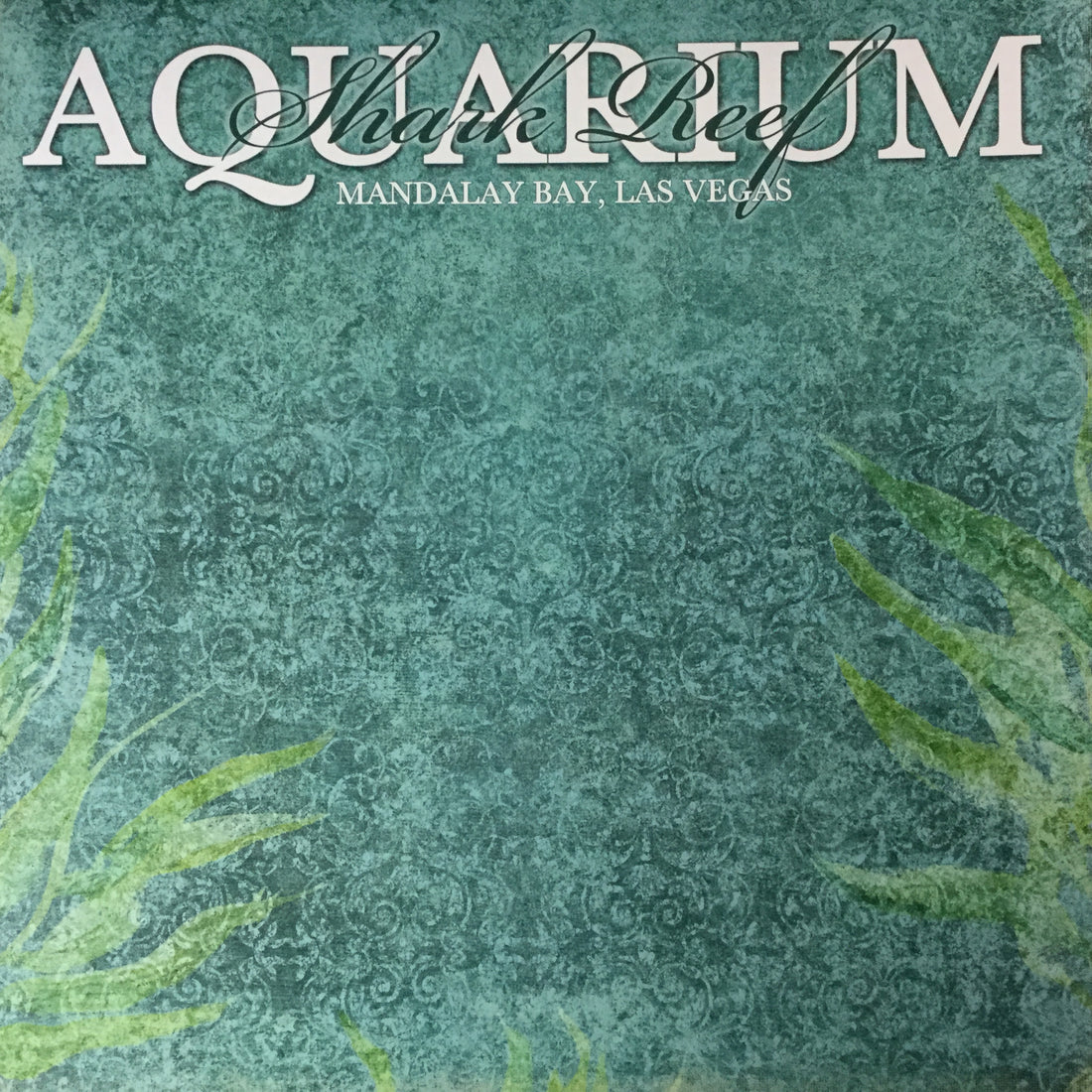 Scrapbooks Customs SHARK REEF AQUARIUM 12x12” Custom Scrapbook Paper Scrapbooksrus