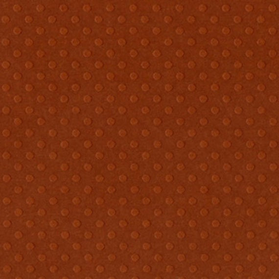 12X12 Bazzill DOT Cardstock