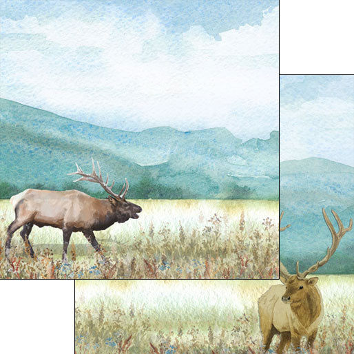 Scrapbook Customs ELK DS Watercolor 12"X12" Paper Scrapbooksrus