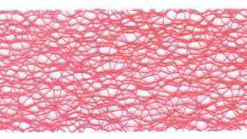 Creative Impressions 2" MESH WEB RIBBON 1 yard yd - Scrapbook Kyandyland