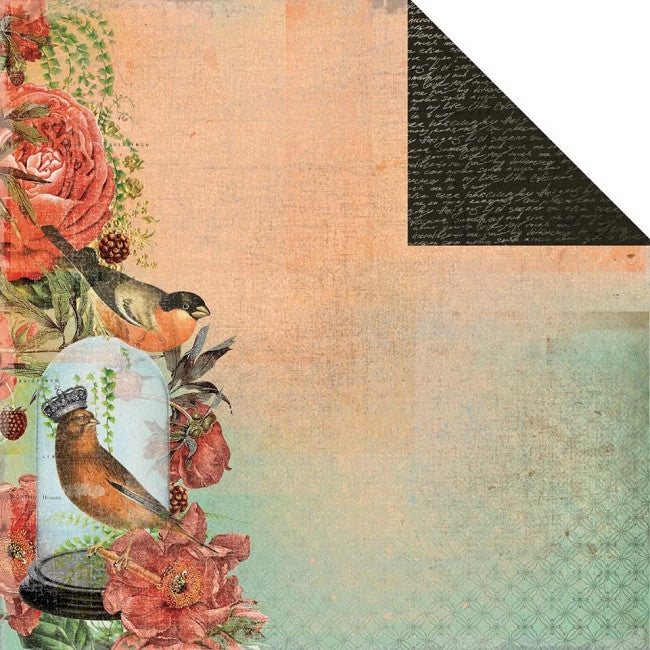 Kaisercraft CURIOSITY 12"X12" Scrapbook Paper - Scrapbook Kyandyland