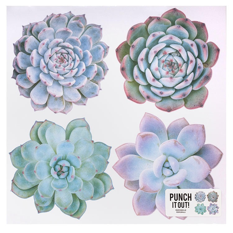 American Crafts SUCCULENT Die-Cut Cardstock 4 pc. Scrapbooksrus