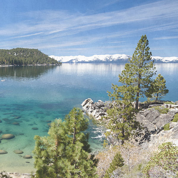 NEVADA DESSERT 12"X12" Scrapbook Paper Scrapbookrus